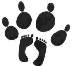 Tierisch Stark - Gemeinsam für Mensch und Hund